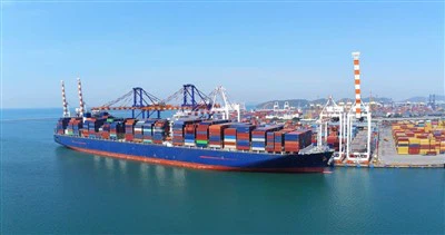 Sea Freight From Shanghai To Savannah